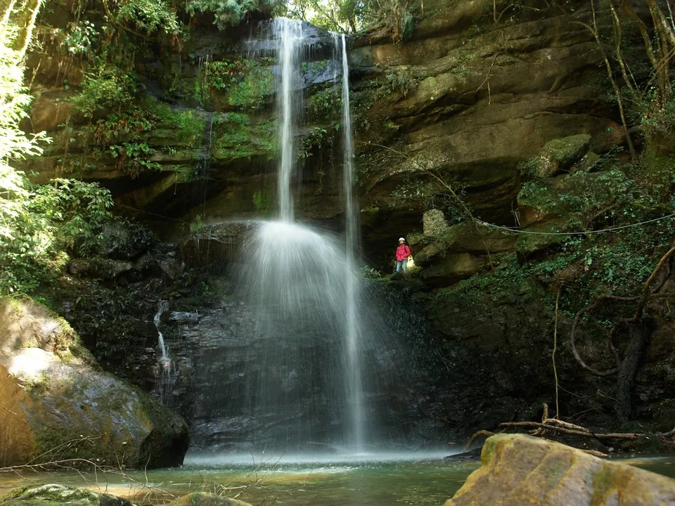 Cachoeira caindo do paredão de pedra na Gruta do Riozinho, no meio da mata